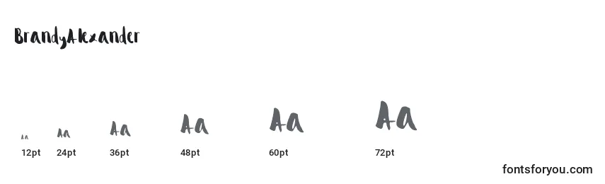 BrandyAlexander Font Sizes