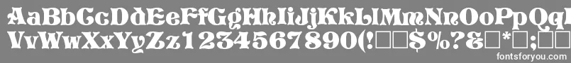 フォントVivianRegular – 灰色の背景に白い文字