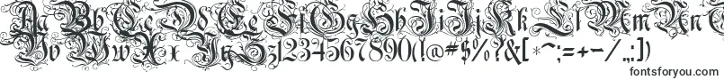 RothenburgDecorative-fontti – Alkavat R:lla olevat fontit