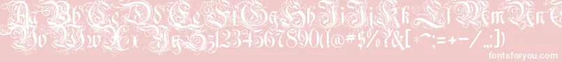 RothenburgDecorative Font – White Fonts on Pink Background