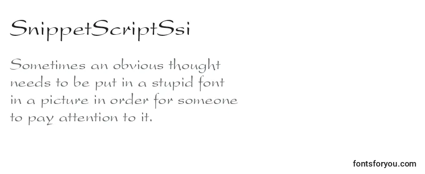 Обзор шрифта SnippetScriptSsi