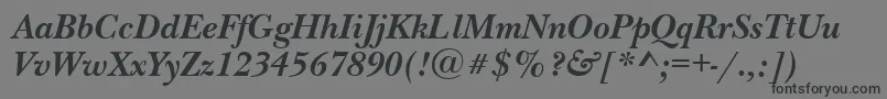 NewbaskervilleettBolditalic Font – Black Fonts on Gray Background