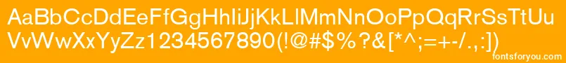 BasiccommercialLtRoman Font – White Fonts on Orange Background