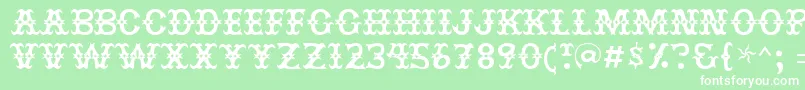 Jesterres Font – White Fonts on Green Background