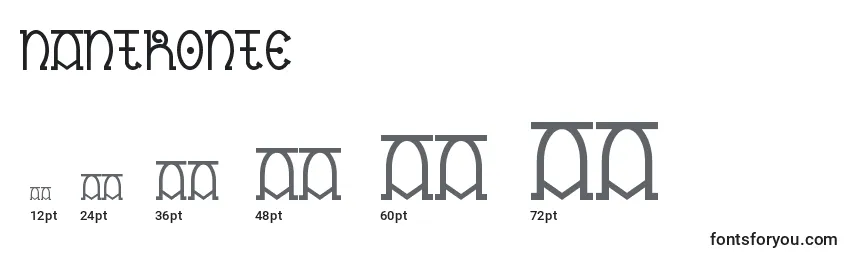Размеры шрифта Nantronte
