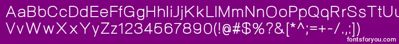 NeogramRegular Font – White Fonts on Purple Background