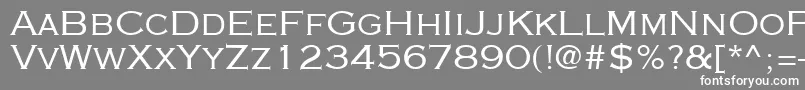 Cooperplanck4Sh Font – White Fonts on Gray Background