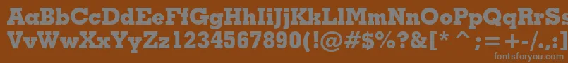 Шрифт GeometricSlabserif703ExtraBoldBt – серые шрифты на коричневом фоне