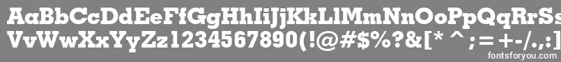 Шрифт GeometricSlabserif703ExtraBoldBt – белые шрифты на сером фоне