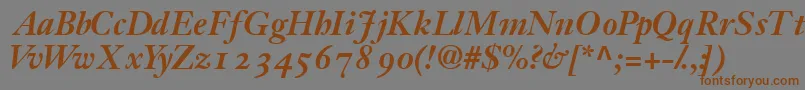 JansonossskBold Font – Brown Fonts on Gray Background