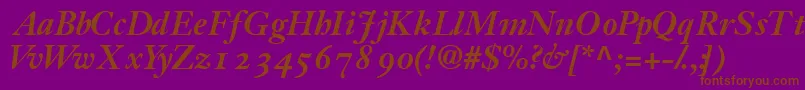 JansonossskBold Font – Brown Fonts on Purple Background