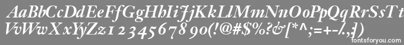 フォントJansonossskBold – 灰色の背景に白い文字