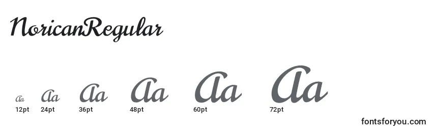 NoricanRegular Font Sizes