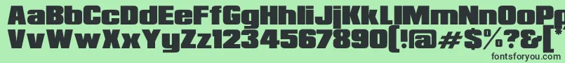 RepublicaMinorRegular Font – Black Fonts on Green Background