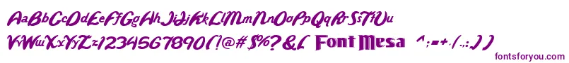 Wildride Font – Purple Fonts on White Background