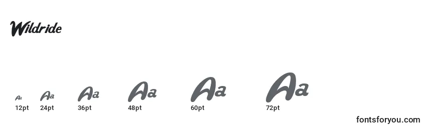 Wildride Font Sizes