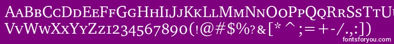 Charterscc Font – White Fonts on Purple Background