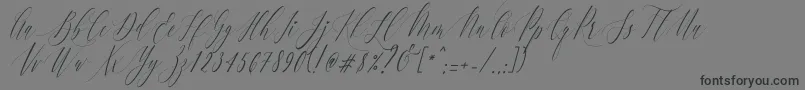 CharlotteCalligraphySlantR1-Schriftart – Schwarze Schriften auf grauem Hintergrund