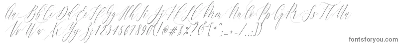 フォントCharlotteCalligraphySlantR1 – 白い背景に灰色の文字