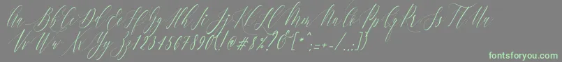 フォントCharlotteCalligraphySlantR1 – 灰色の背景に緑のフォント