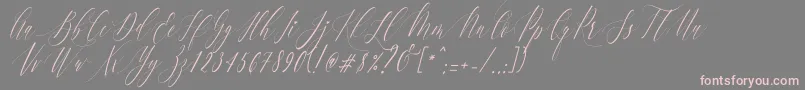 CharlotteCalligraphySlantR1-fontti – vaaleanpunaiset fontit harmaalla taustalla