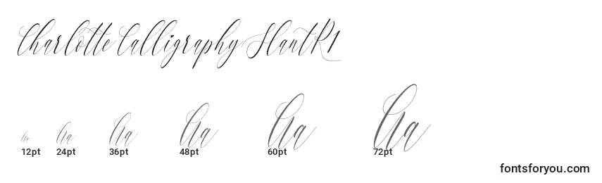 Размеры шрифта CharlotteCalligraphySlantR1