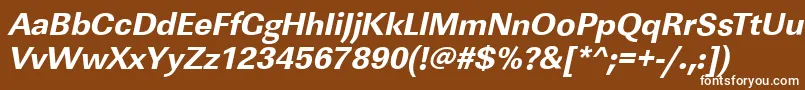 LinearstdXboldItalic Font – White Fonts on Brown Background