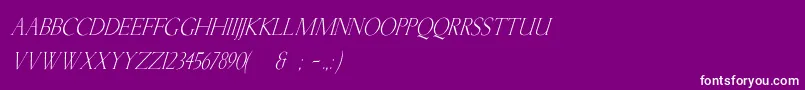 fuente KellnearItalic – Fuentes Blancas Sobre Fondo Morado