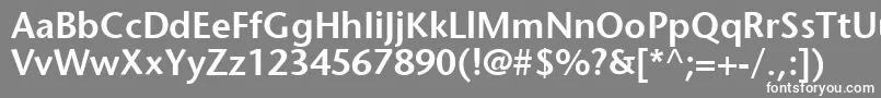 フォント2sto – 灰色の背景に白い文字