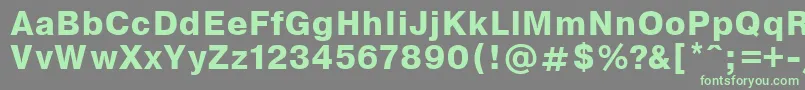 EncyclopaediaBold.001.001 Font – Green Fonts on Gray Background