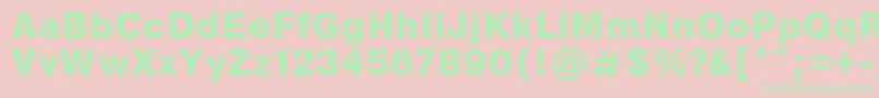 EncyclopaediaBold.001.001 Font – Green Fonts on Pink Background