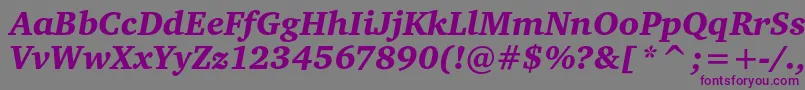 CharteritcblackItalic Font – Purple Fonts on Gray Background