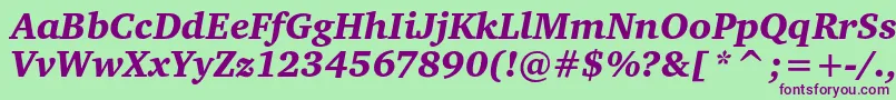 CharteritcblackItalic Font – Purple Fonts on Green Background