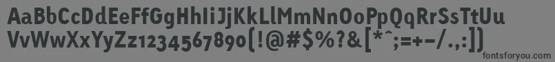 LinotypeTetriaBlack Font – Black Fonts on Gray Background