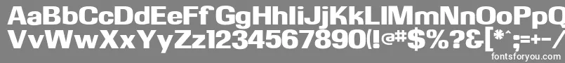 Kasseultraflf Font – White Fonts on Gray Background