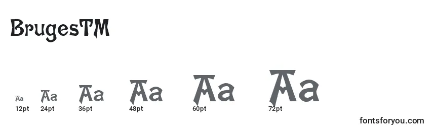 BrugesTM Font Sizes