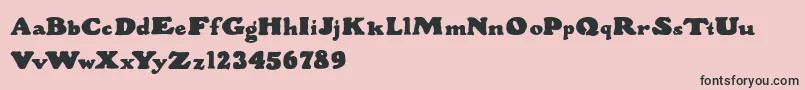 WoodStevensBold Font – Black Fonts on Pink Background
