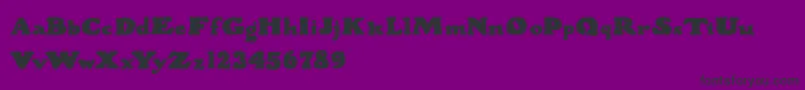 More about WoodStevensBold Font WoodStevensBold Font – Black Fonts on Purple Background