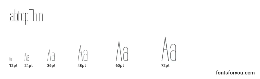 LabtopThin Font Sizes