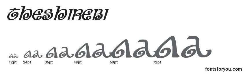 Theshirebi Font Sizes