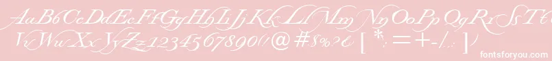 Windsorsword Font – White Fonts on Pink Background