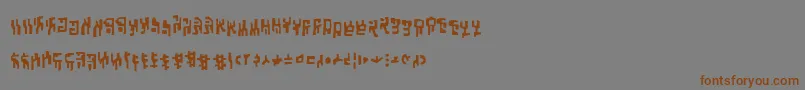 フォントSquiznorbb – 茶色の文字が灰色の背景にあります。