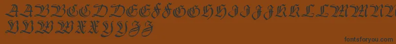 フォントThannhaeuser – 黒い文字が茶色の背景にあります