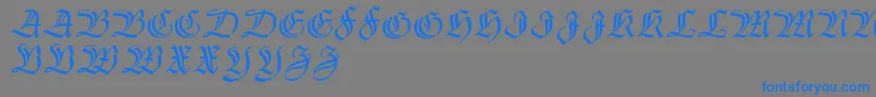 フォントThannhaeuser – 灰色の背景に青い文字