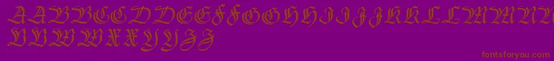 Thannhaeuser Font – Brown Fonts on Purple Background