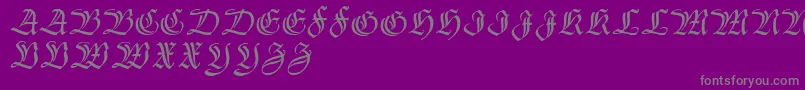 フォントThannhaeuser – 紫の背景に灰色の文字