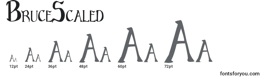 BruceScaled Font Sizes