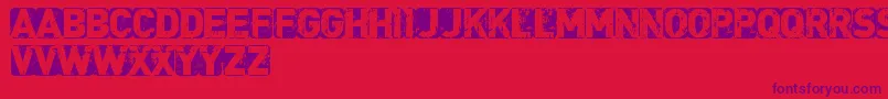 CfpunkisnotdeadRegular Font – Purple Fonts on Red Background