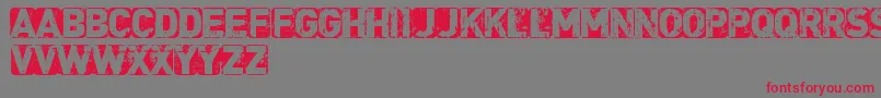 CfpunkisnotdeadRegular Font – Red Fonts on Gray Background