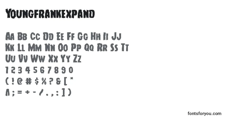 Шрифт Youngfrankexpand – алфавит, цифры, специальные символы